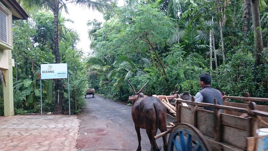 Oceanic Hotel Diveagar Luaran gambar